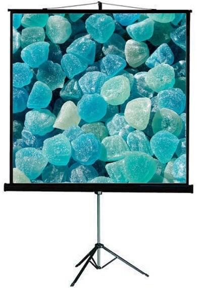 Экран ViewScreen Clamp Pro 240x137см (TCP-16904) n19159 - фото 101653