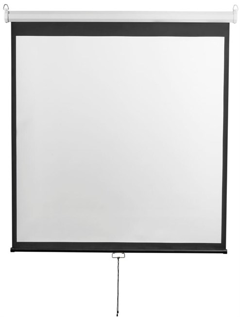 Экран Digis Optimal-D 248x250см MW (DSOD-1107) n19336 - фото 102141