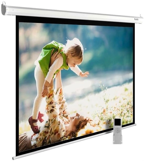 Экран Cactus MotoExpert 150x240см (CS-PSME-240X150-WT) n19224 - фото 104482
