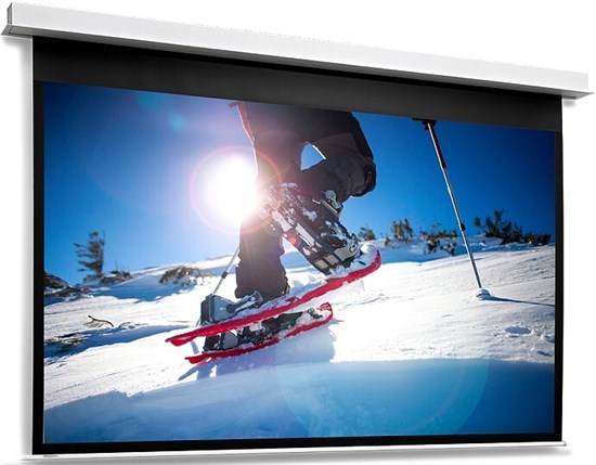 Экран Projecta DescenderPro 153x220 Matte White n19477 - фото 104912
