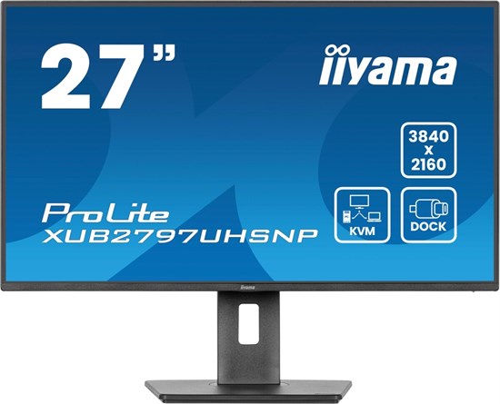 Монитор iiyama 27  ProLite XUB2797UHSNP-B1 A743400 - фото 119847