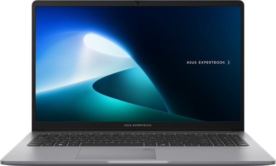 Ноутбук ASUS P1503CVA ExpertBook P1 (S70986) A500876 - фото 120175