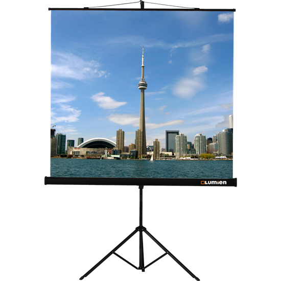 Экран Lumien Eco View 160x160 Matte White n19010 - фото 73743