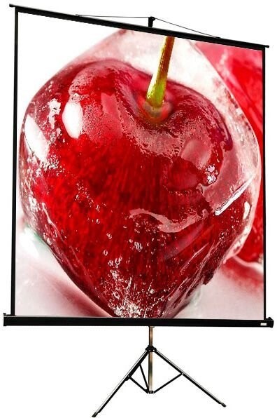 Экран ViewScreen Clamp Pro 127x127см (TCP-1101) n19548 - фото 73848