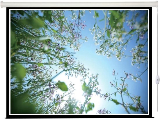 Экран Lumien Eco Control 128х171 Matte White n18980 - фото 73977