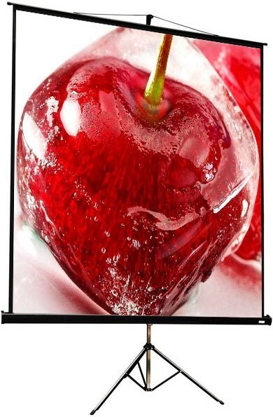 Экран ViewScreen Clamp Pro 213x213см (TCP-1105) n19158 - фото 74197