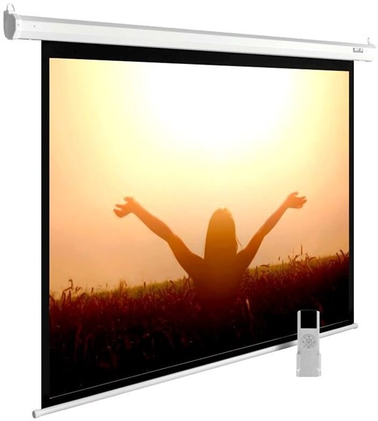 Экран Cactus MotoExpert 165x220см (CS-PSME-220X165-WT) n18860 - фото 74229