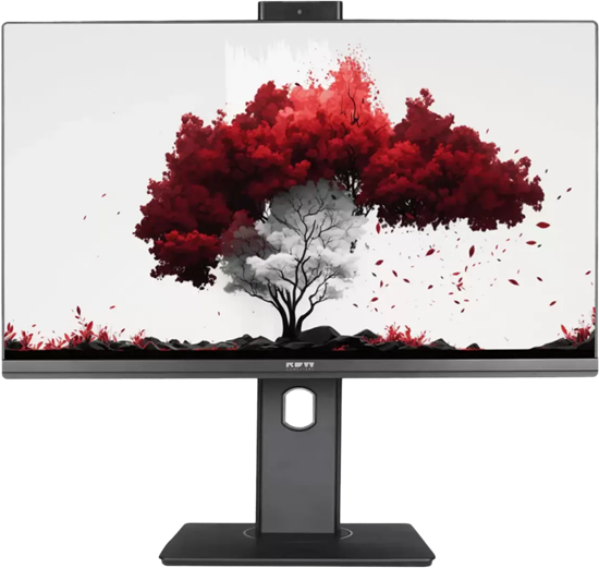 Монитор RDW Computers 24  RDW2402K (F13В360V2A1) F725467 - фото 85675