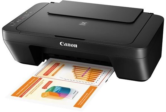 МФУ Canon PIXMA MG2540S (0727C007/0727C021) F231172 - фото 97832