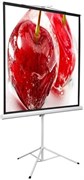 Экран Digis Kontur-D 206x209см MW (DSKD-1106) n19312