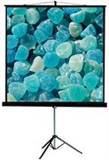 Экран ViewScreen Clamp Pro 240x137см (TCP-16904) n19159