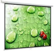 Экран ViewScreen Lotus 171x128см (WLO-4302) n19568