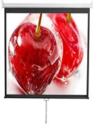 Экран Digis Optimal-D 206x209см MW (DSOD-1105) n18939