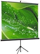 Экран ViewScreen Clamp 160x160см (TCL-1104) n19137