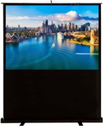 Экран Cactus FloorCompactExpert 120x160см (CS-PSFLCE-160X120) n19202