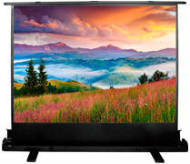Экран Cactus FloorExpert 68x120см (CS-PSFLE-120X68) n18848