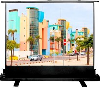 Экран Cactus FloorExpert 120x160см (CS-PSFLE-160X120) n18845