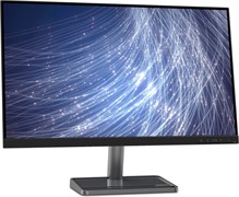 Монитор Lenovo 24 L24i-30 (66BDKAC2EU) n14586
