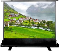 Экран Cactus FloorExpert 102x180см (CS-PSFLE-180X102) n19208