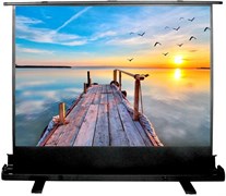 Экран Cactus FloorExpert 113x200см (CS-PSFLE-200X113) n19209