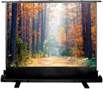 Экран Cactus FloorExpert 135x180см (CS-PSFLE-180X135) n19211