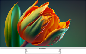 ЖК телевизор TopDevice 40 TDTV40CS04F White n18646
