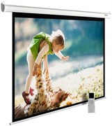Экран Cactus MotoExpert 150x240см (CS-PSME-240X150-WT) n19224