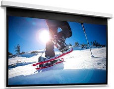 Экран Projecta DescenderPro 153x220 Matte White n19477