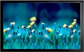 Экран Cactus FrameExpert 113x200см (CS-PSFRE-200X113) n18852