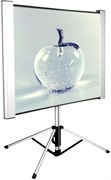 Экран Cactus TriAlExpert 102x180см (CS-PSTALE-180X102) n18874