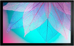 Экран Cactus FrameExpert 124x220см (CS-PSFRE-220X124) n19218