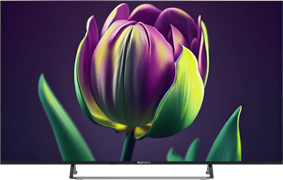 ЖК телевизор TopDevice 50 TDTV50CS06U Black n18655