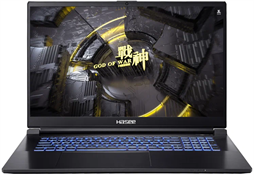 Ноутбук Hasee G8R9 n16379