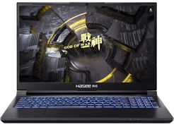 Ноутбук Hasee Z9R7 n16383