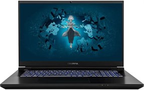 Ноутбук Colorful Evol X17 Pro Max (A10205400063) A701960