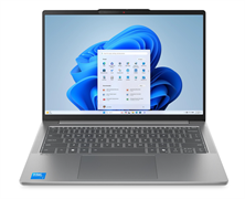 Ноутбук Lenovo IdeaPad Slim 5 14IRH10R (83J0001BRK) A743171
