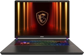 Ноутбук MSI Vector 17 HX AI A2XWJG-062RU A492579
