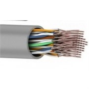 Кабель UTP 25PR 24AWG, CAT5 REXANT 17888
