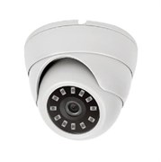 AHD-DN2.0 (2.8) ESVI 20294