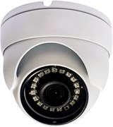 AHD-DN2.1 (2.8) ESVI 25259