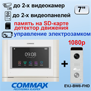 CDV-704MF Белый + EVJ-BW8-FHD(s) Серая 27112