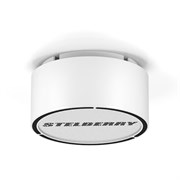 F-310W Stelberry 28720