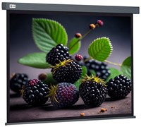 Экран Cactus Wallscreen 127x127см (CS-PSW-127X127-SG) n18901