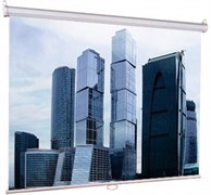 Экран Lumien Eco Picture 160х160 Matte White n19393