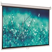 Экран ViewScreen Scroll 171x98см (WSC-16902) n19594