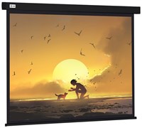 Экран Cactus Wallscreen 150x150см (CS-PSW-150X150-BK) n19272