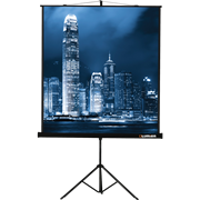 Экран Lumien Master View 127x127 Matte White FiberGlass n19066