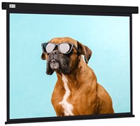 Экран Cactus Wallscreen 183x244см (CS-PSW-183X244-BK) n19281