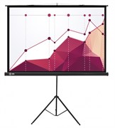 Экран Cactus Triscreen 180x180см (CS-PST-180X180) n18887