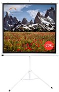 Экран Sakura Cinema 150x150см (SCPST-150x150) n19092